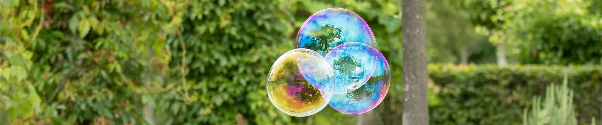 Sommergarten - Seifenblasen 