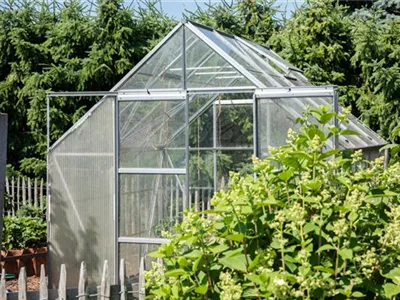 Ob groß oder klein: Gewächshäuser bereichern jeden Garten