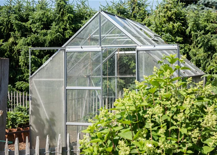 Ob groß oder klein: Gewächshäuser bereichern jeden Garten