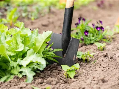 Hilfreiches und praktisches Zubehör zum Gärtnern