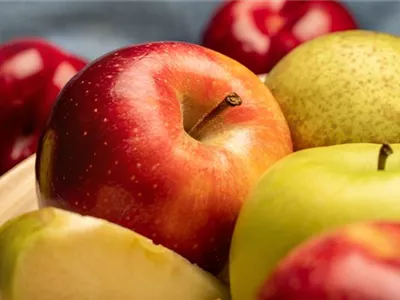 Kern- und Steinobst im eigenen Garten für kleine und große Naschkatzen