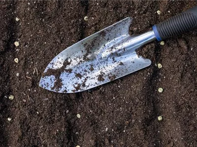 Mit dem passenden Saatgut für das Gewächshaus Gemüse anbauen