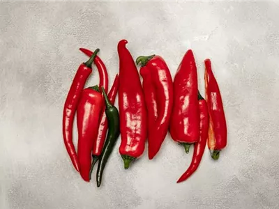 Paprika selber anbauen – Tipps für Anzucht und Ernte