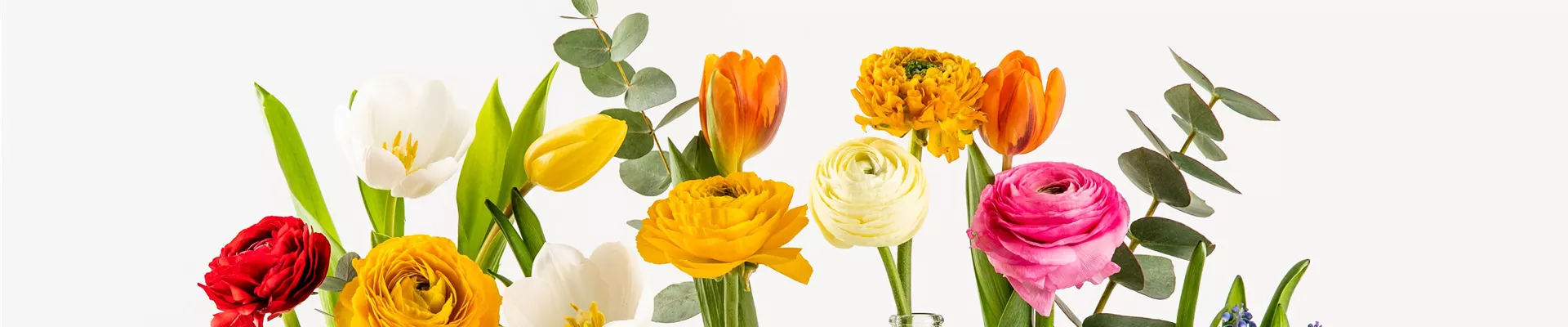 Frühling - verschiedene Blumen in Vasen