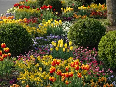 Die schönsten Begleitpflanzen für Blumenzwiebeln und -knollen