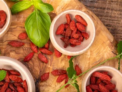 Goji-Beeren – Superfood aus Fernost im eigenen Garten