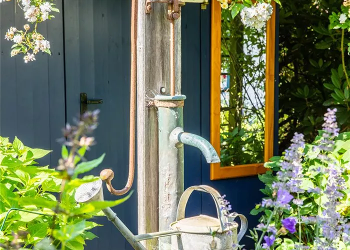 So einfach kann die Gartengestaltung mit Gartenpflanzen sein